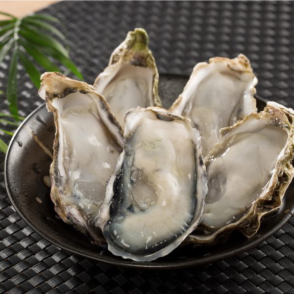 日本兵庫生食生蠔(1Kg約9-11顆)