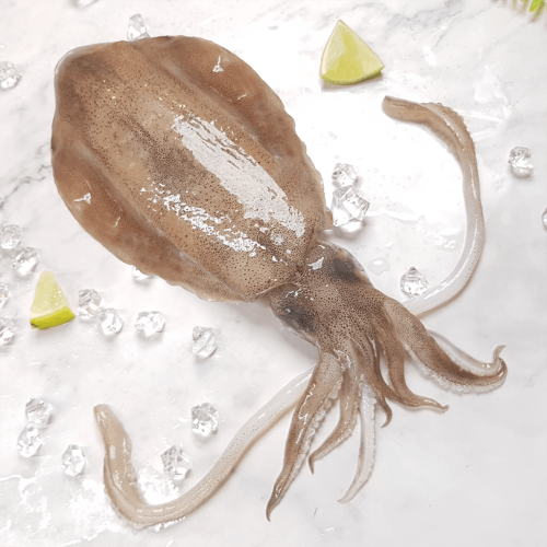 5A生食級軟絲(1000g)