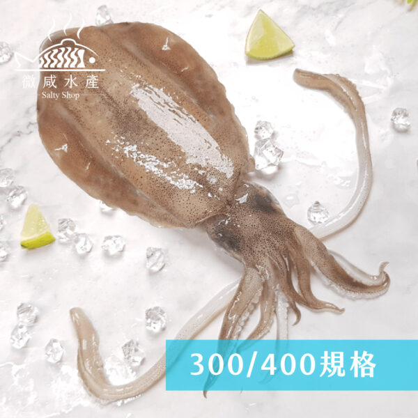 5A生食規格軟絲(300g)