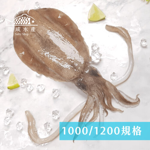 5A生食級軟絲(1000g)